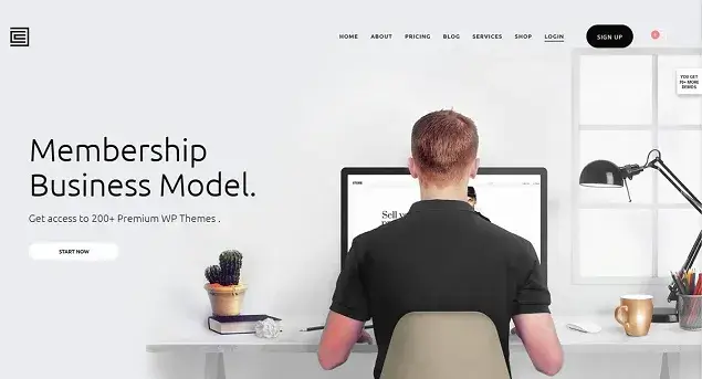 Kallyas WordPress Theme