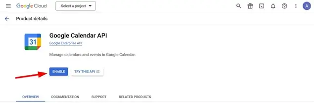 Google Calendar API
