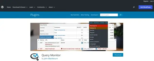 Query Monitor Plugin