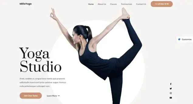 Astra Multipurpose Theme