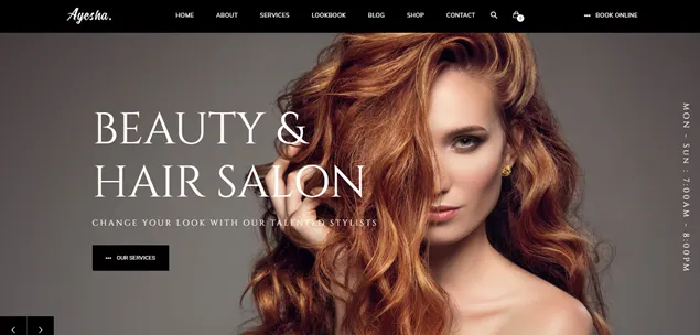Ayesha WP Theme