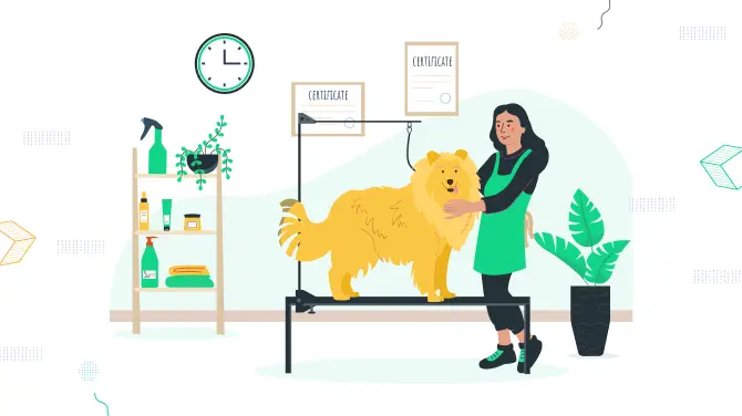 345+ Dog Grooming Business Names: Funny, Classy & Creative