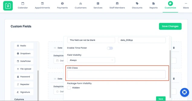 CSS class field configuration